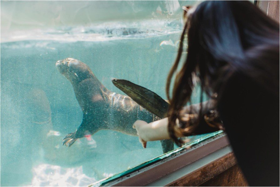 Philadelphia Zoo, engagement