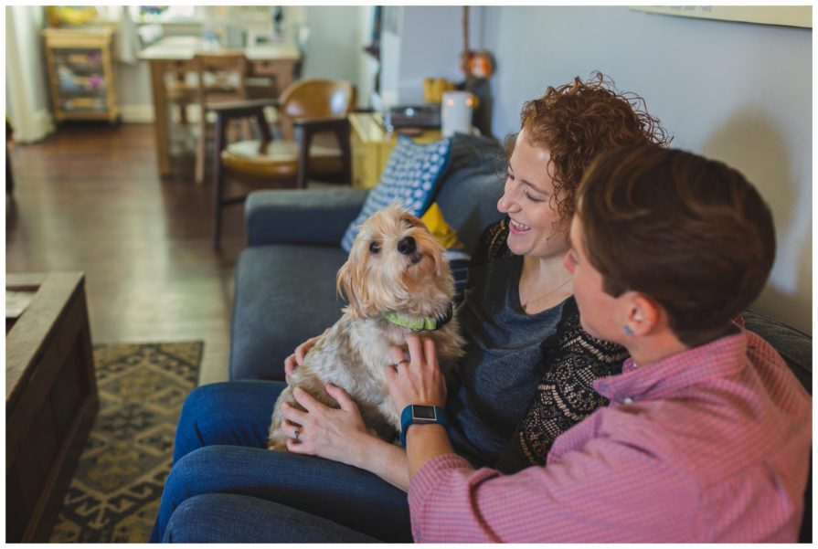 engagement session, dogs