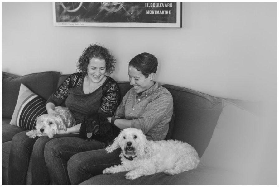 engagement session, dogs
