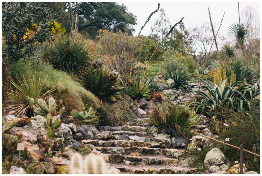 University of California Botanical Garden, wedding