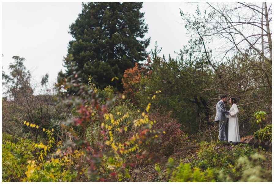 University of California Botanical Garden, wedding, California