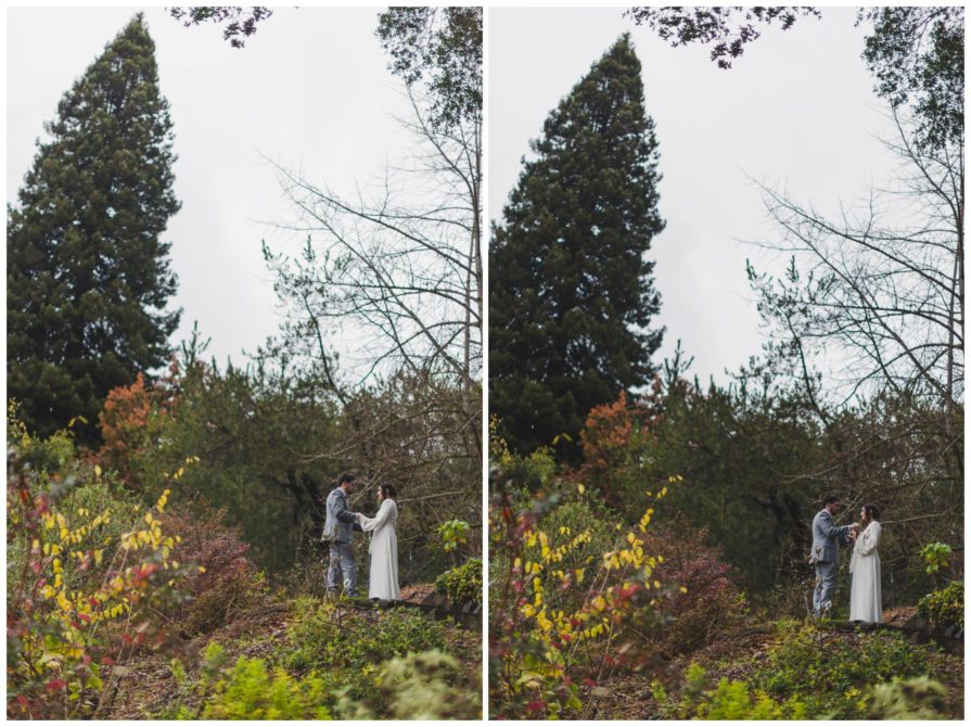 University of California Botanical Garden, wedding, California