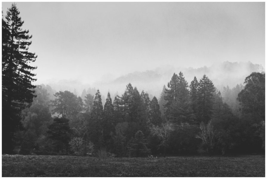 The Brazilian Room, wedding, winter, Berkeley, California