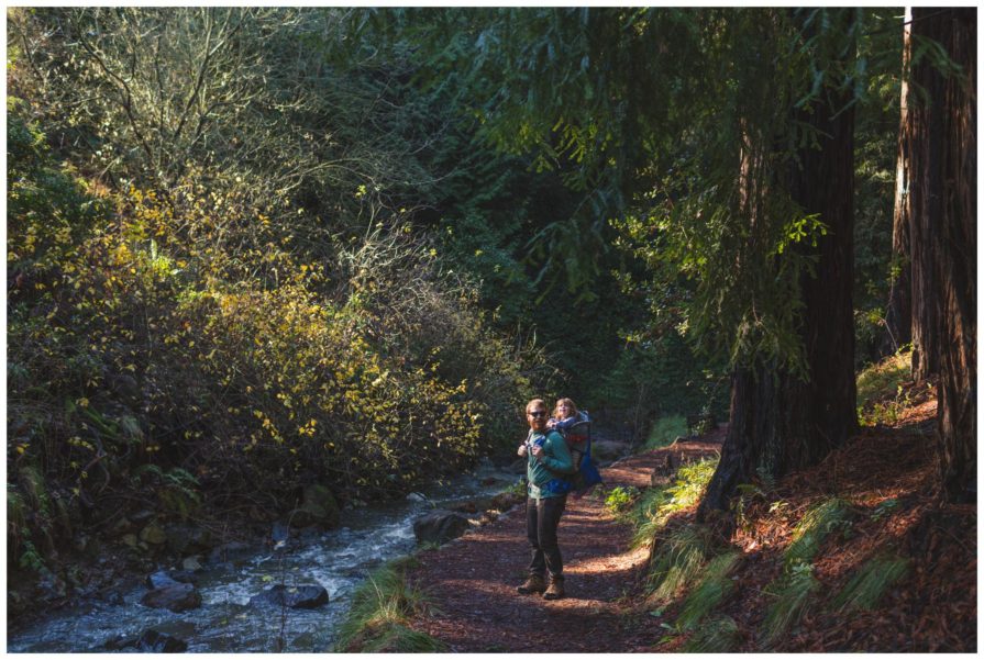 Tilden Regional Park, Regional Parks Botanic Garden