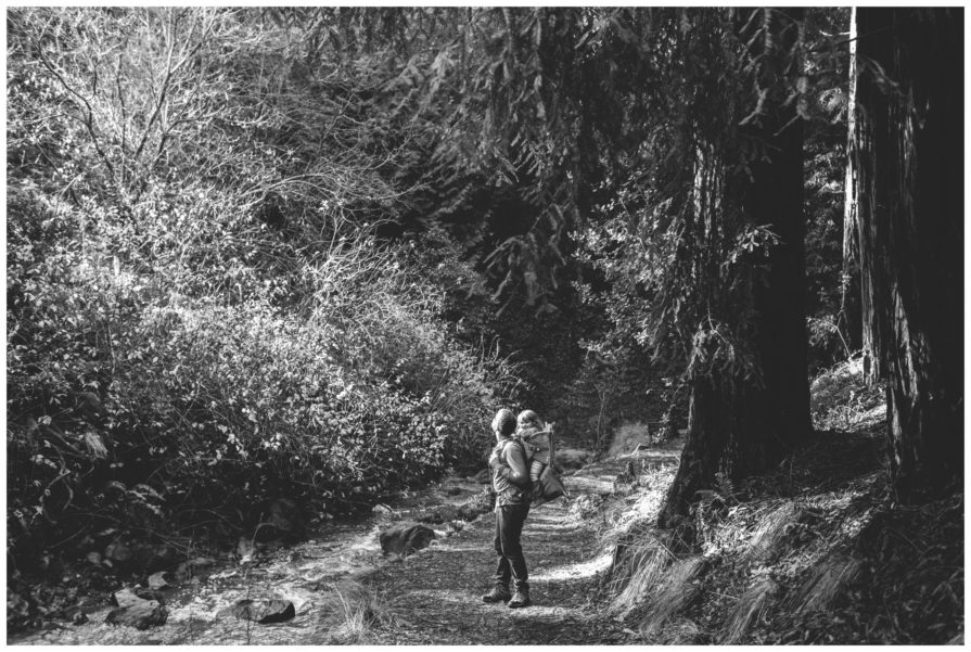 Tilden Regional Park, Regional Parks Botanic Garden