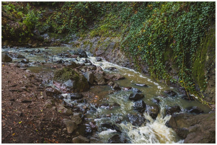Tilden Regional Park, Regional Parks Botanic Garden
