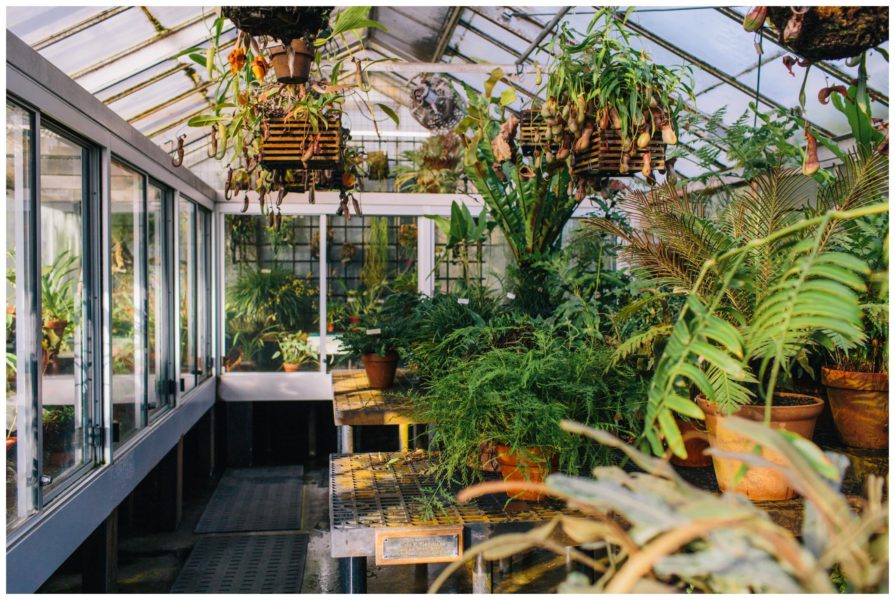 University of California Botanical Garden
