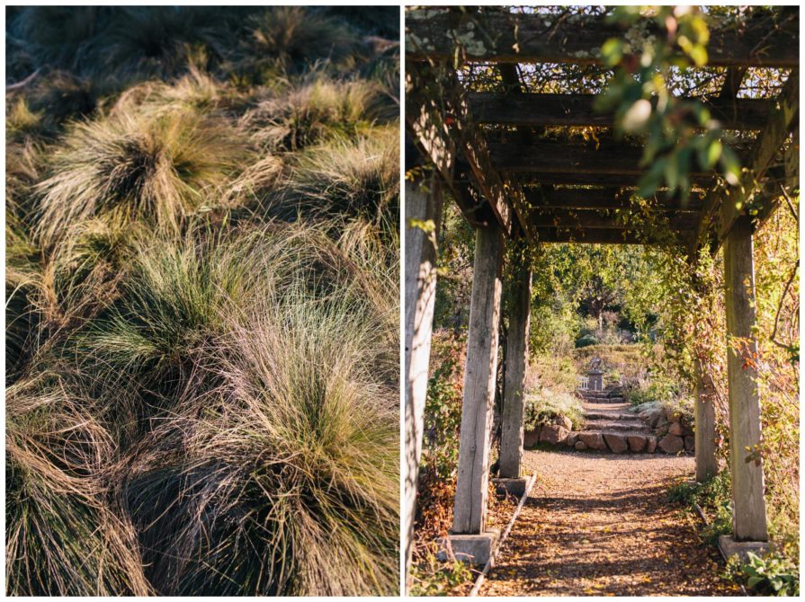 University of California Botanical Garden, wedding