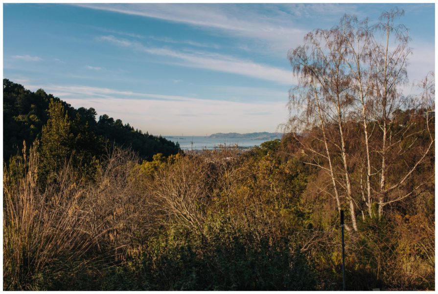University of California Botanical Garden, wedding