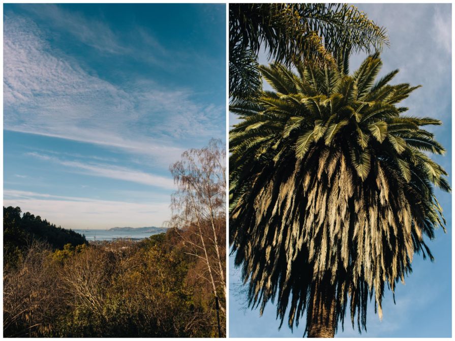 University of California Botanical Garden, wedding