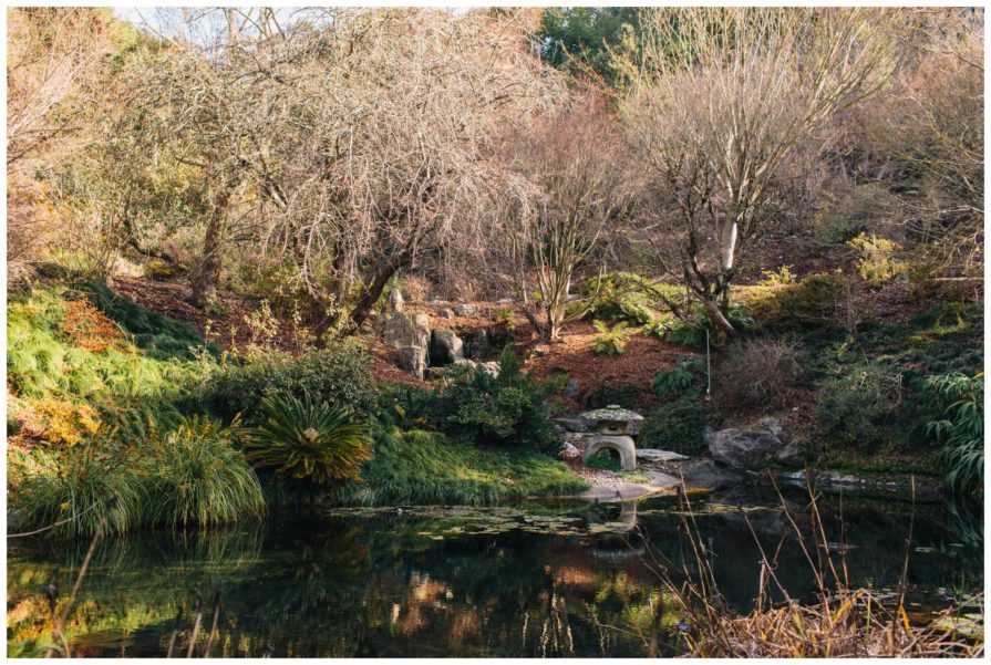 University of California Botanical Garden, wedding