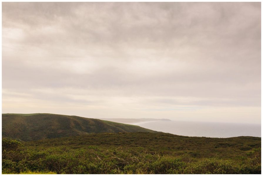 point reyes national seashore, tomales point trailhead