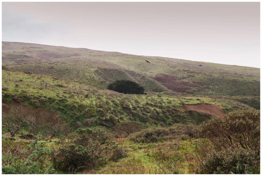 point reyes national seashore, tomales point trailhead