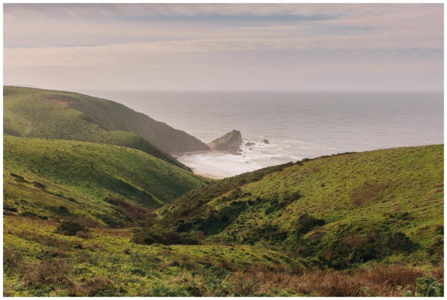 point reyes national seashore, tomales point trailhead