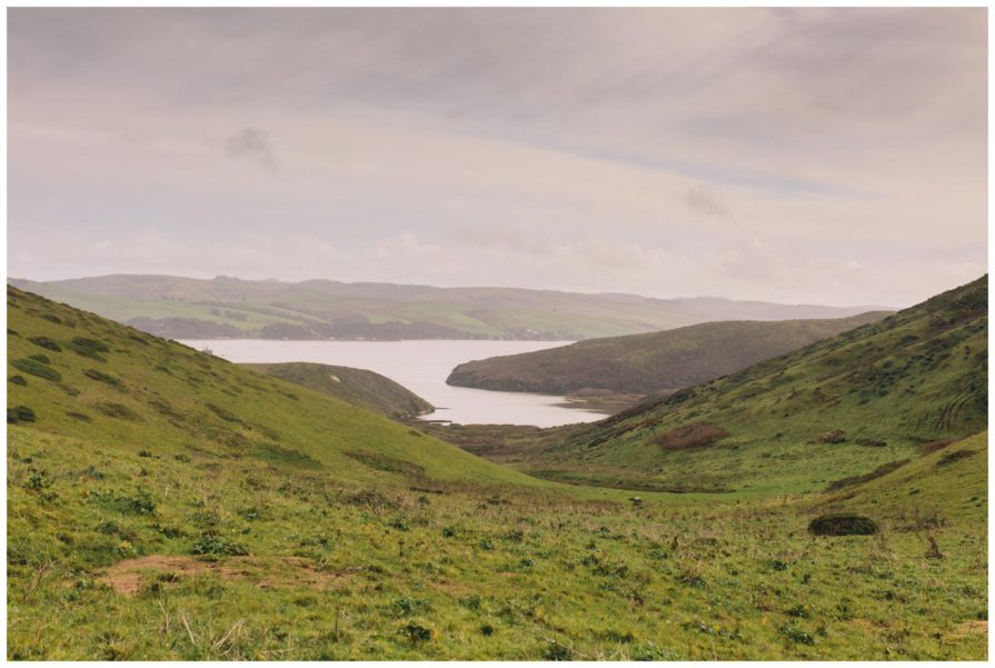 point reyes national seashore, tomales point trailhead