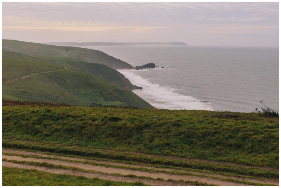 point reyes national seashore, tomales point trailhead