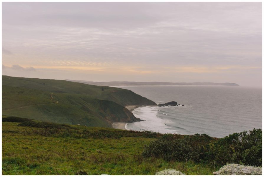 point reyes national seashore, tomales point trailhead
