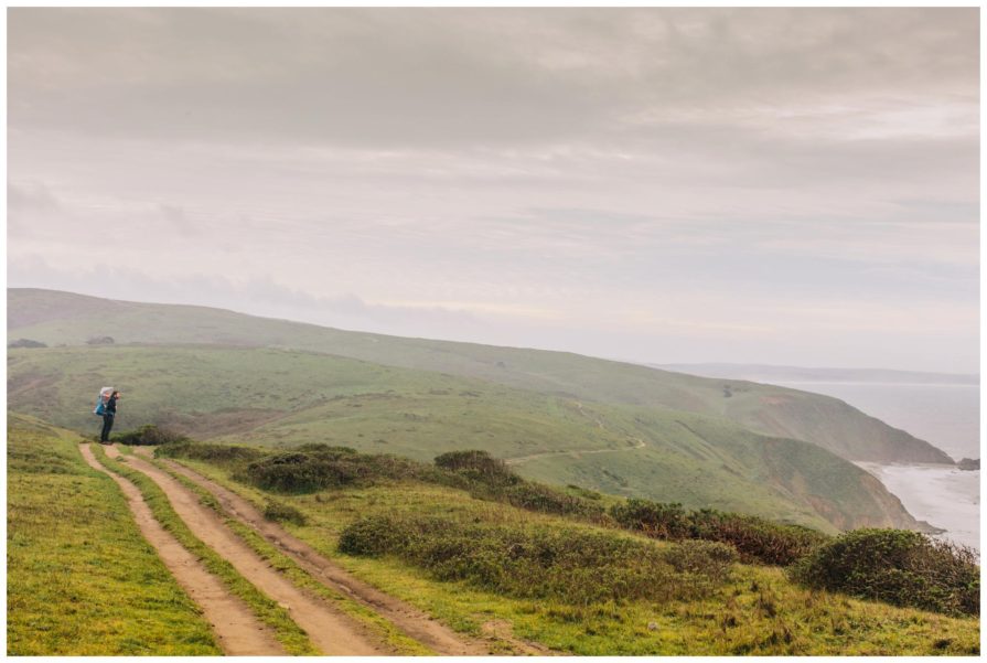 point reyes national seashore, tomales point trailhead