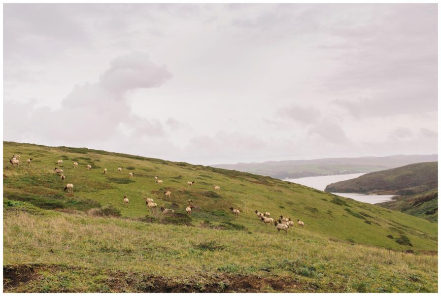 elk, California, Point Reyes
