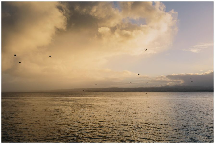 Monterey Bay, wedding, photography