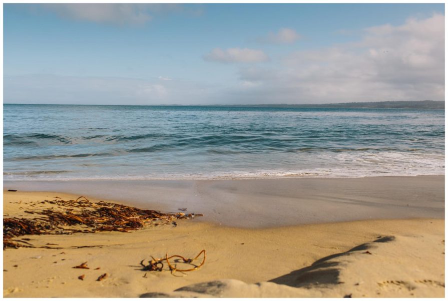 Monterey Bay, wedding, photography