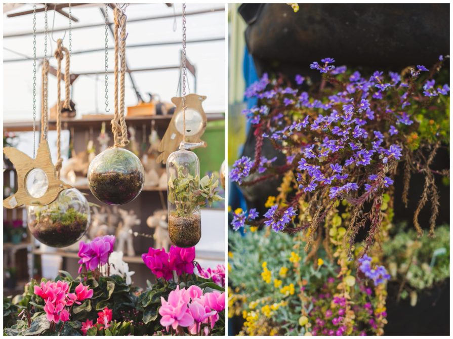Greensgrow Farms, wedding