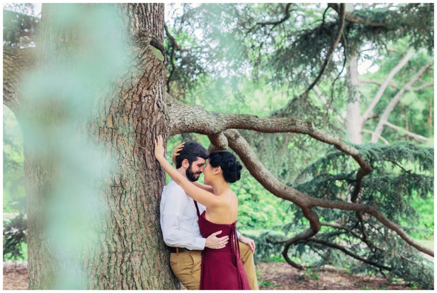 Morris Arboretum, engagement
