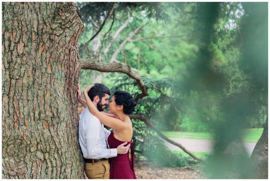 Morris Arboretum, engagement