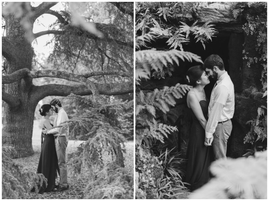 Morris Arboretum, engagement