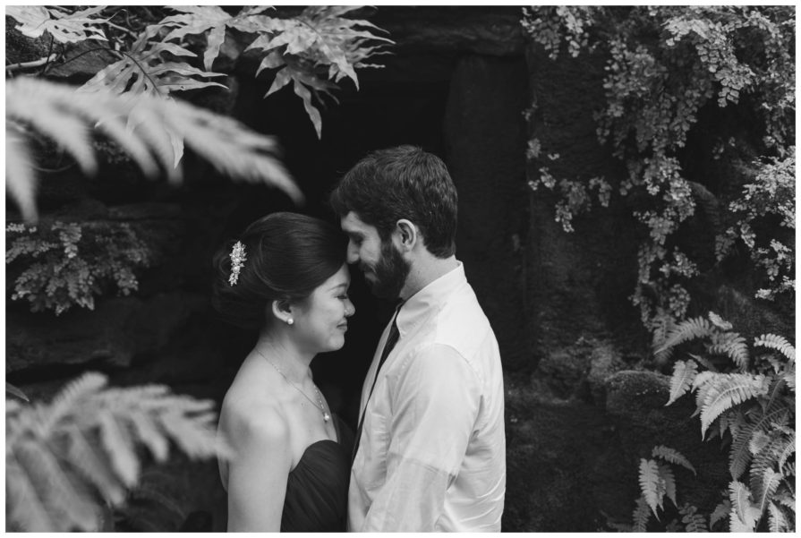 Morris Arboretum, engagement