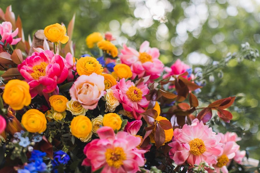 awbury arboretum, wedding, Vault + Vine, Philadelphia