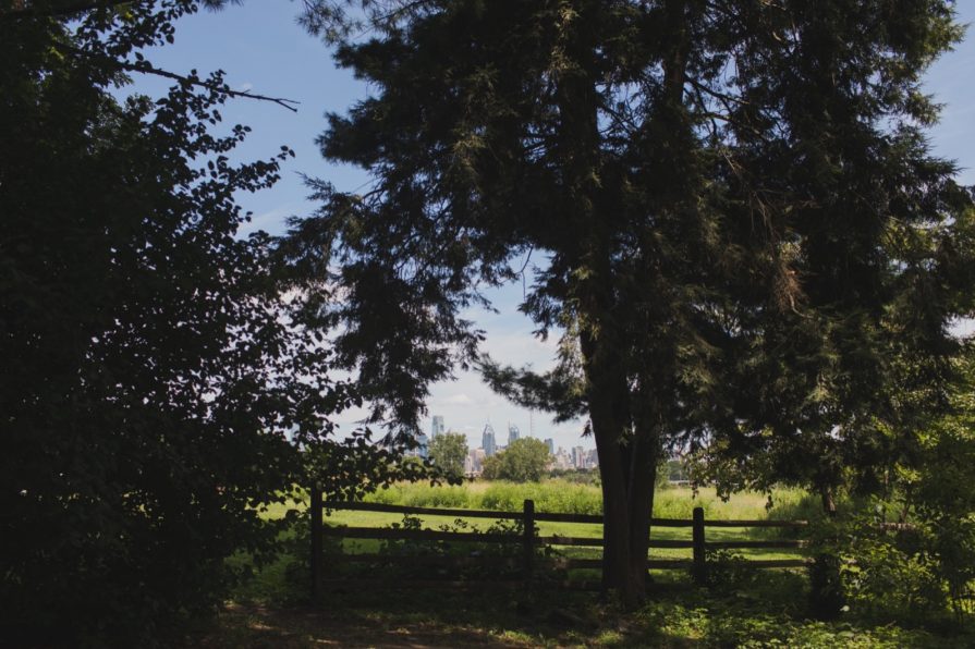 Bartram's Garden, wedding, Philadelphia