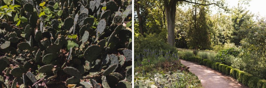 Bartram's Garden, wedding, Philadelphia