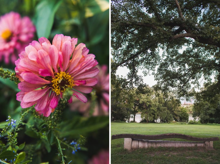 Bartram's Garden, wedding, Philadelphia