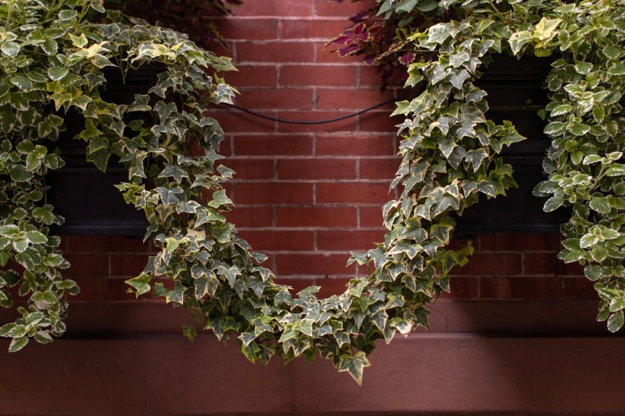 Delancey Street, Philadelphia, engagement, LGBTQIA+