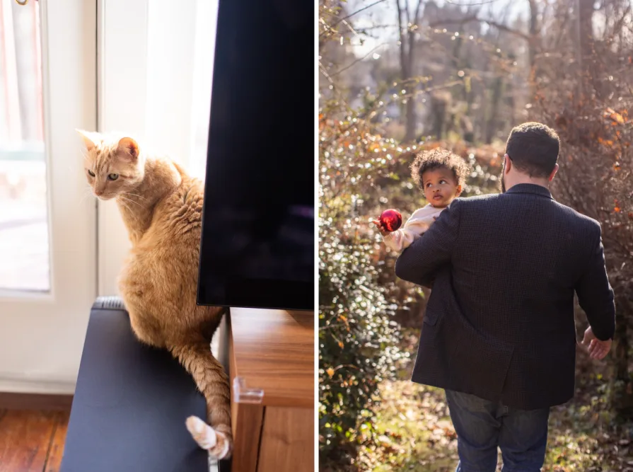 A photo of the family cat side by side with a photo of Forest being held by his dad.