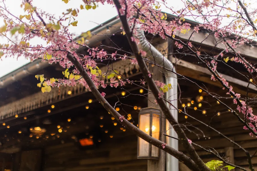 Pink flower buds outside of Terrain at Styer's in Glen Mills.